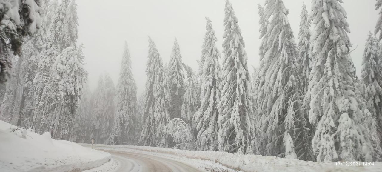 Sans Lux Apartman N42 Milmari Kopaonik Exterior foto